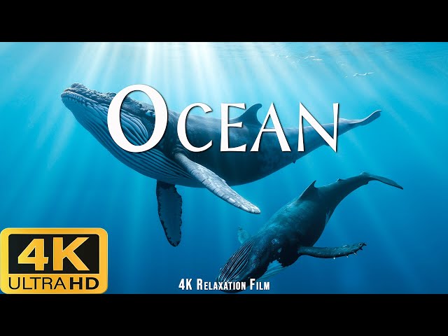 Ocean 4K ULTRA HD – Journey through the Endless Sea Expanses with Soothing Music 🌊✨