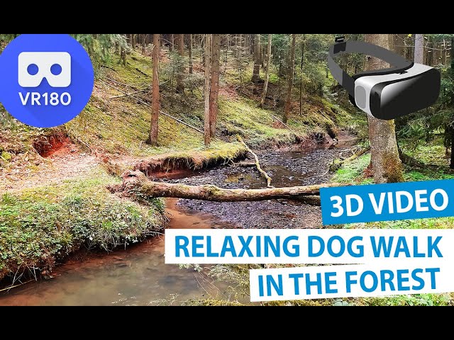 3D Virtual Dog Walk in The Forest - Dog Watch VR180