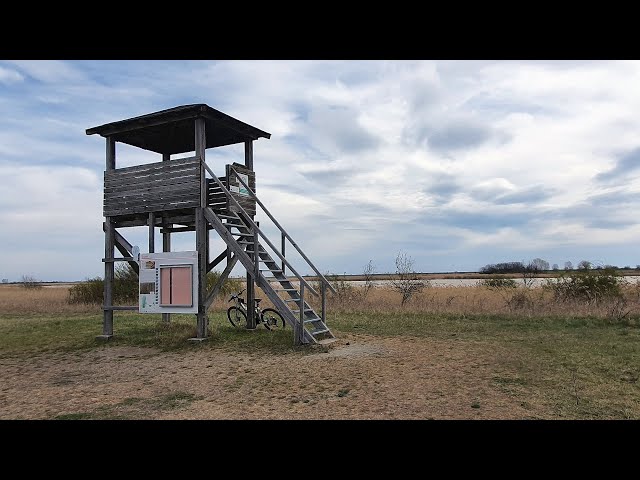 Hölle - Steppentierpark - Weiße Esel