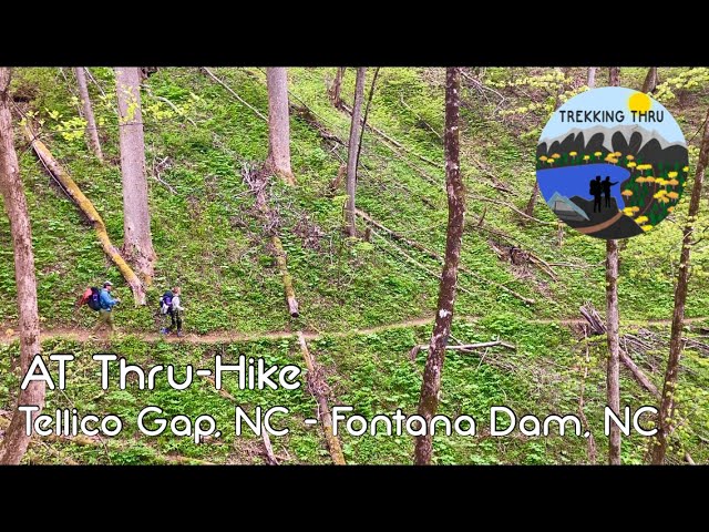 Back on the Trail, the NOC, and Fontana Dam - Appalachian Trail 2021 - Episode 4