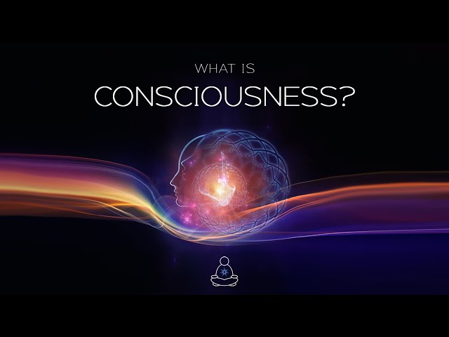 What Is Conscious?