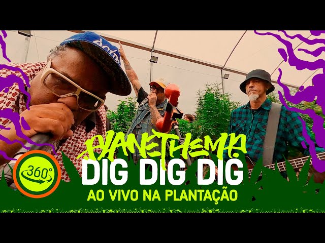 Planet Hemp - Dig Dig Dig (Hempa) (Versão 360º)