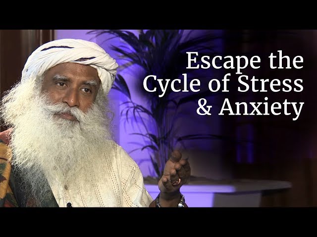 How to Escape the Cycle of Stress, Anxiety and Misery? - Sadhguru