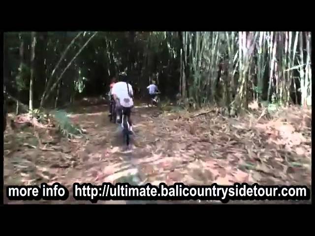 Bali Bike Tours - The Amazing Bamboo Forest Cycling Tracks - Ubud Tours