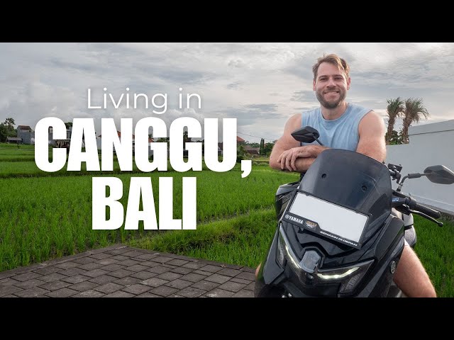 Living in Canggu, Bali 🇮🇩  (as a remote worker / digital nomad)