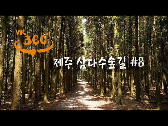 [360 VR ASMR] 제주 삼다수숲길 - 숲의 소리 #08 (5K)