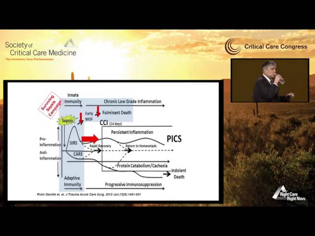 Immunoregulation During Sepsis