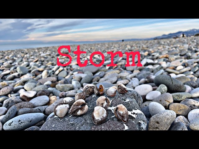 ზღვა შტორმის შემდეგ | The sea after a storm