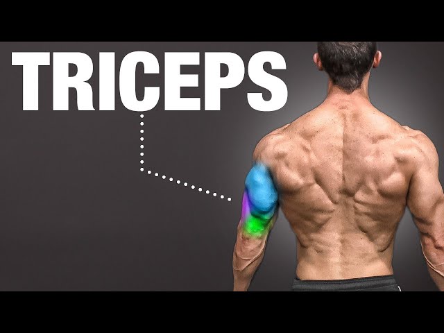 The PERFECT Science Based Tricep Workout (2025 EDITION)