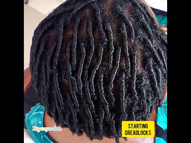 How to start dreadlocks