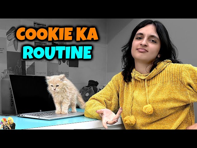 COOKIE KA ROUTINE | Aayu and Pihu Show