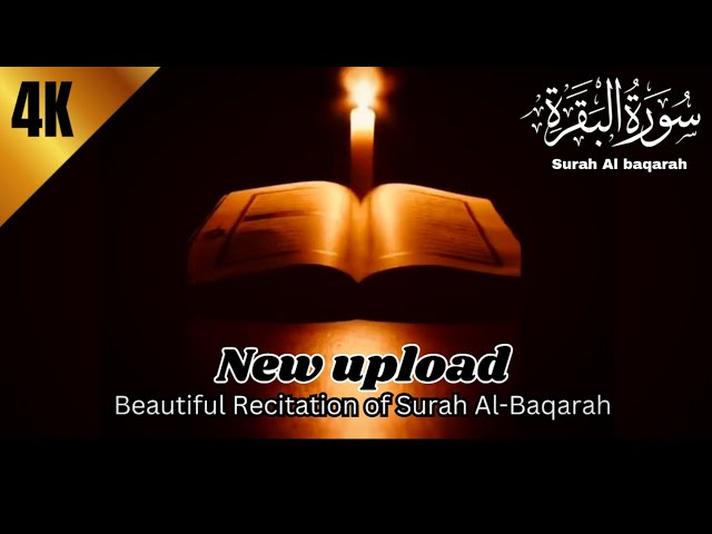 سورةالبقرہ مکمل|| روزانہ سنیں || روحانی و جسمانی مسائل کا حل || کالے جادو کا توڈ | Surah Al baqarah