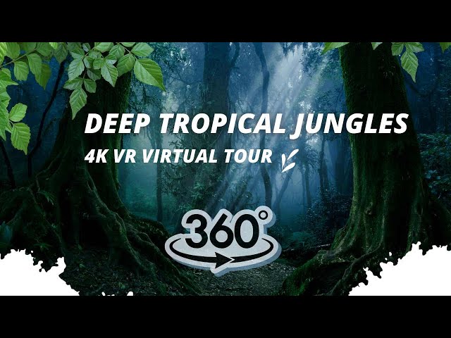 360° Video Experience of Deep Tropical Jungles of Asia | 4K VR Virtual Tour