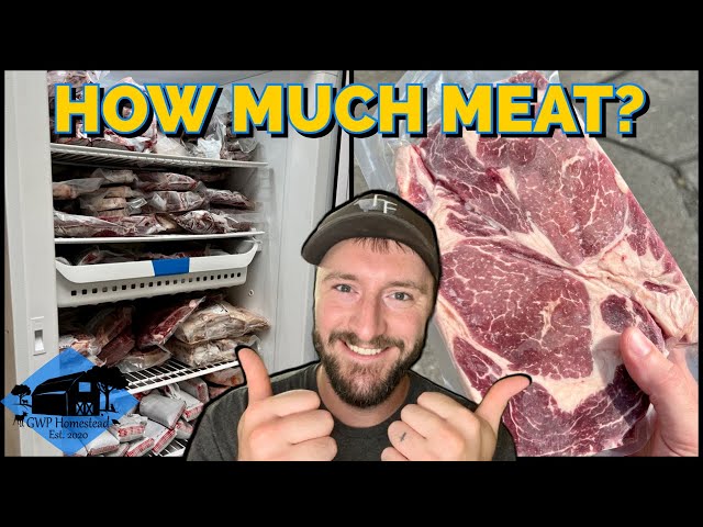 How Much Meat is a Half Beef? Explained in 3 Minutes!