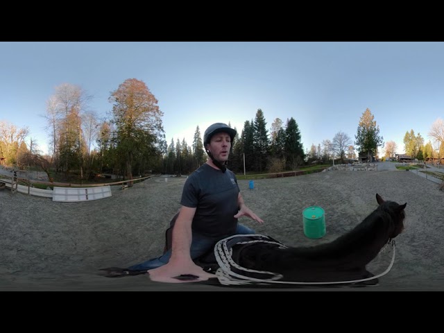 Riding Your Horse With Legs And Body And No Hands - 360° Video