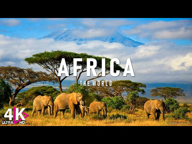 AFRICA 4K - Relaxing Music Along With Beautiful Nature Videos - 4K Ultra HD