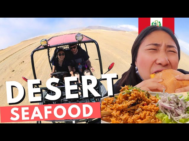 Seafood in a Desert!? 🇵🇪 + PENGUINS! Ballestas Islands & National Reserve desert Buggy PARACAS PERU