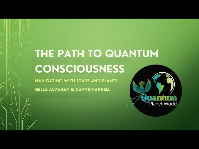 The Path to Quantum Consciousness - Special Presentation and Update from Davyd & Bella and QPW