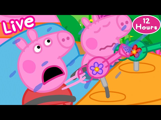 🔴 LIVE Peppa and Friends! 🐷 NEW Peppa Pig Tales Full Episodes 2025 🌟 24 HOUR Livestream