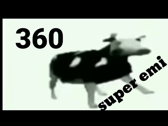 V360meme de la vaca bailando en 360 y en español 😱😱😱😱😱😱