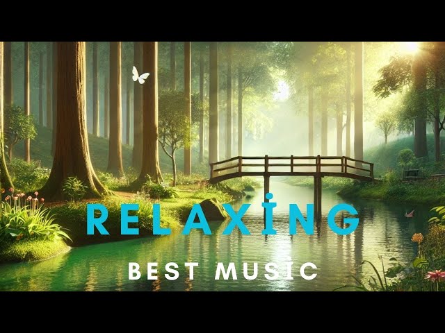 Calm Your Mind, Soothing Nature Sounds & Relaxing Music, Chill Melodies for Study and Focus