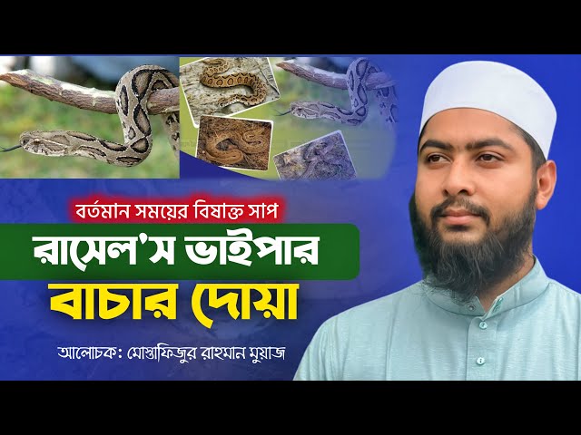 বর্তমান সময়ের বিষাক্ত সাপ রাসেল ভাইপার থেকে বাঁচার দোয়া | Russell's Viper Snake in Bangladesh