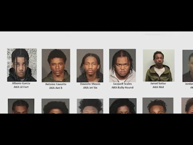 Brooklyn DA announces arrests of alleged gang members