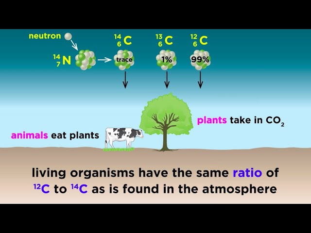 Radiometric Dating: Carbon-14 and Uranium-238