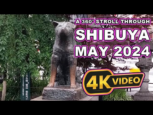 360° walk through the streets of Shibuya