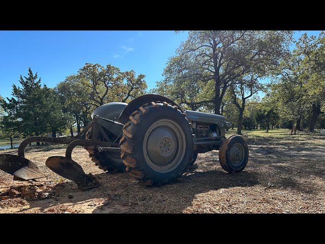 Recovering a plow with my Ferguson tractor