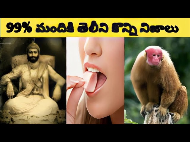 99% మందికి తెలీని కొన్ని నిజాలు TOP  Interesting Facts In Telugu #Telugufacts ||#facts