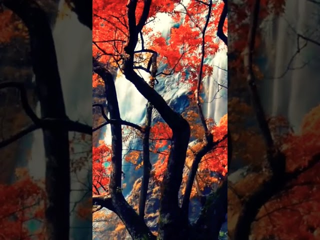 Beautiful Autumn Blossom Waterfall #asmr #nature #naturesounds #waterfall  #relaxing