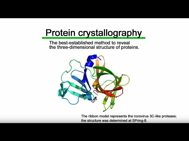 Protein crystallography