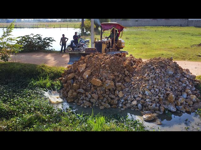 Wonderful Action New Project!! Strong Dozer Pushing Soil Filling Flooded Garbage Canal & 5ton Truck.