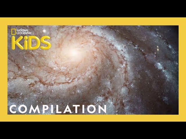 Journey Into Space 🪐 | Spaced Out FULL Compilation | Nat Geo Kids Compilation | @natgeokids