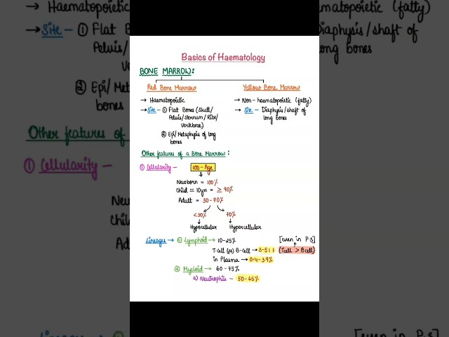 Basic Of Hematology || Fmge, NeetPg || #fmge #neet #anatomy #pathology