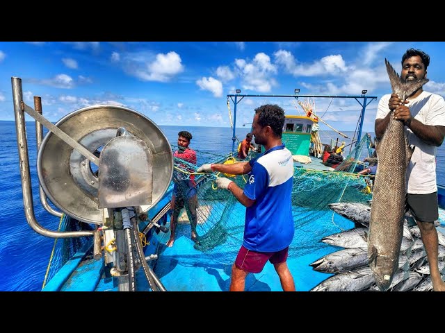 DAY 02 | The Fishes That Stayed In The Deep Sea For The Second Day | Deep Sea Fishing | S04 | Tamil