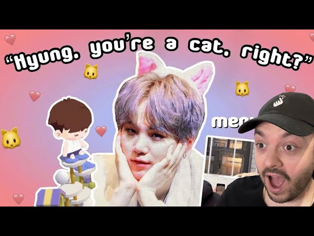 Reacting to @SugArmyy: BigHit Family Calling Yoongi a Cat!