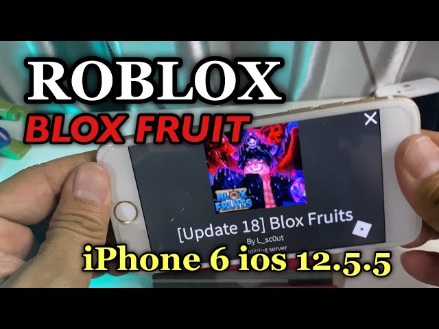 Roblox Blox Fruit - iPhone 6 ios 12.5.5