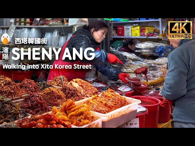 Shenyang, Liaoning🇨🇳 Xita Korean Street Where Koreans Gather in China (4K HDR)