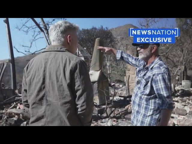 Mel Gibson lost his home but not his Oscars in LA wildfires | Banfield