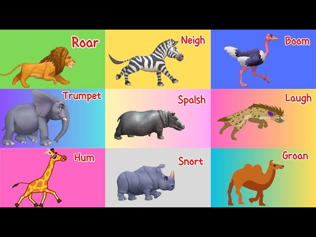 Safari Animal Sounds Song | Nursery Rhymes | Little Bunny Learns 🎵