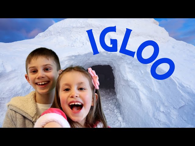 Igloo facts for kids | Fun Learning with Alex Kids Fun