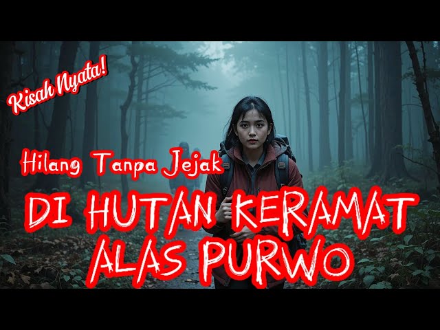 TRUE STORY OF THE MYSTERY OF THE DISAPPEARANCE OF CLIMBERS IN THE SACRED FOREST OF ALAS PURWO