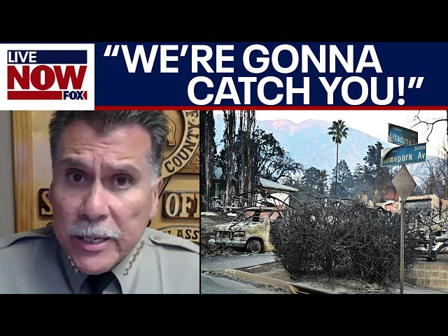 California fires: Looters arrested as LA fires burn | LiveNOW from FOX