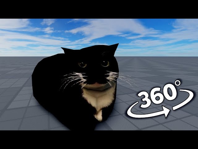 Maxwell The Cat but it's 360 degree video