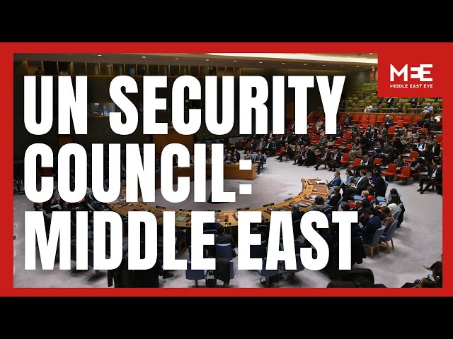 LIVE: UN Security Council discusses Middle East crisis - 9738th Meeting