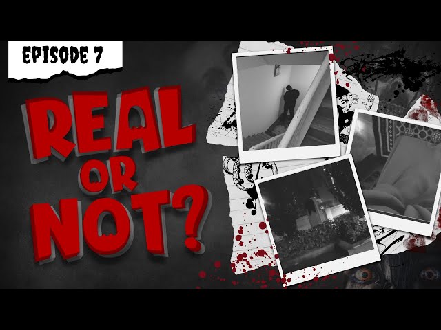 Real or Not - Episode Seven (POVs)