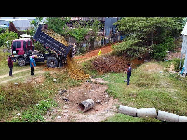 Wonderful Start New Project!! Bulldozer Pushing Soil & Dump Truck Unloading soil into canal.