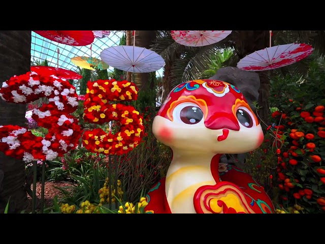 Choon Yong Original Series- Spring Blossoms,Legend of Lady White Snake@Flower Dome